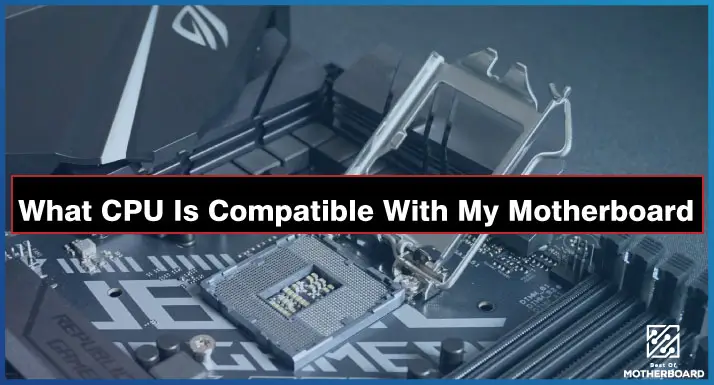What CPU Is Compatible With My Motherboard