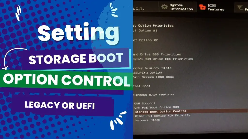Setting Storage Boot Option Control