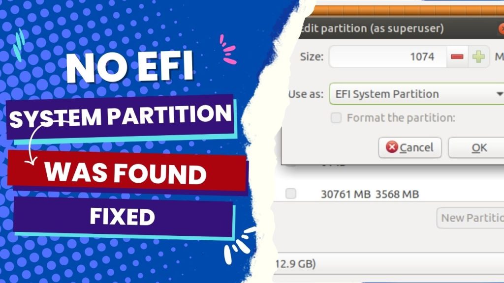 No EFI System Partition Was Found