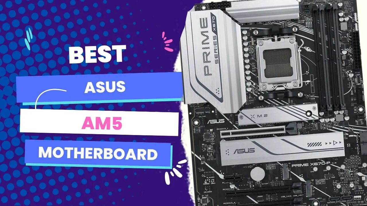 Best Asus AM5 Motherboard All You Need To Know 2024 Best
