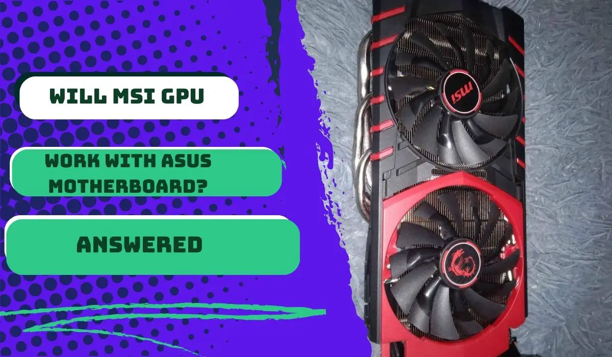 Will MSI GPU Work With Asus Motherboard? Answered 2024 Best